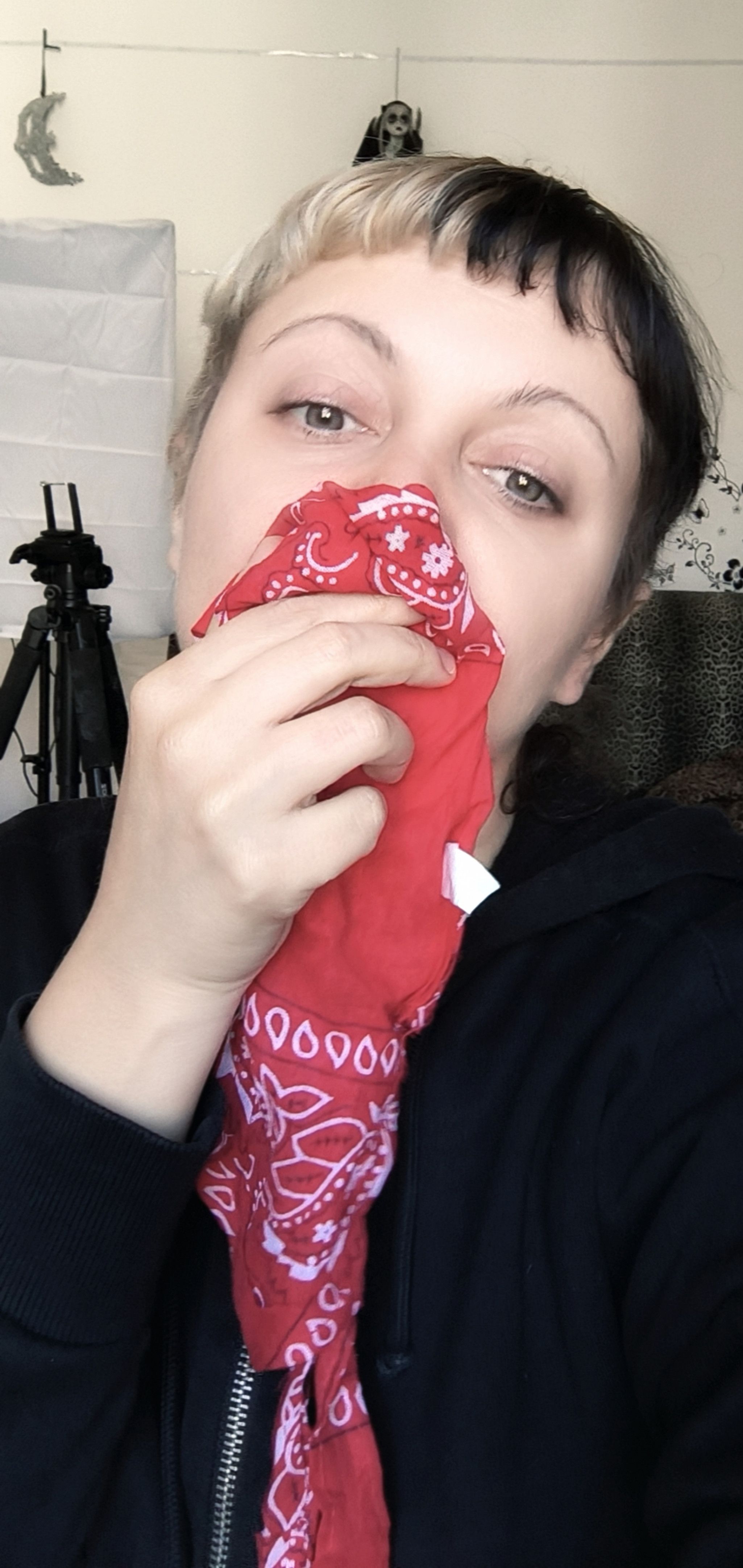 My Snotty Bandana Tissue