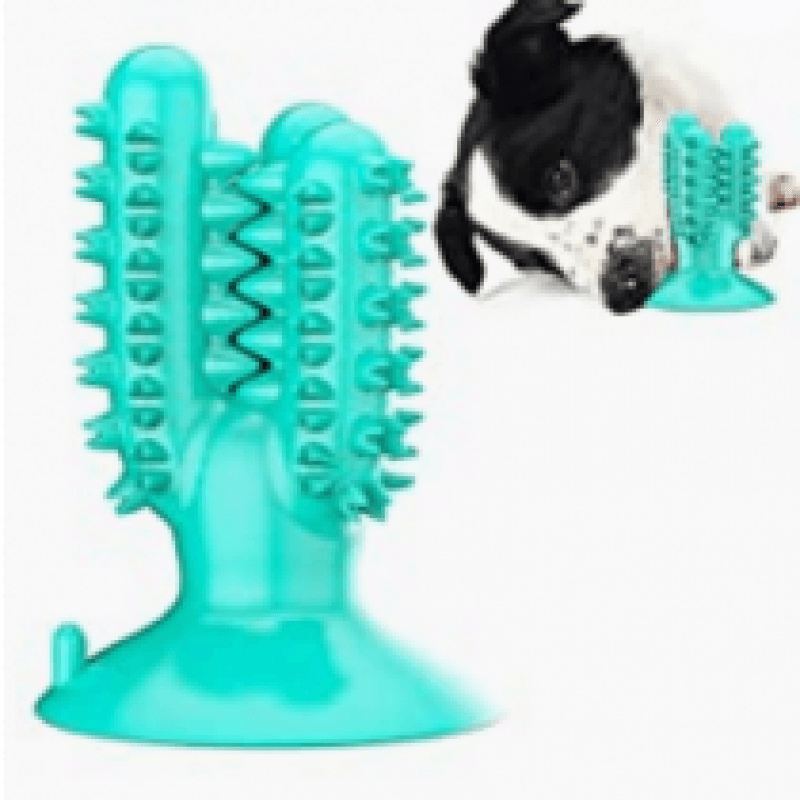 Dog Toy or Care Product