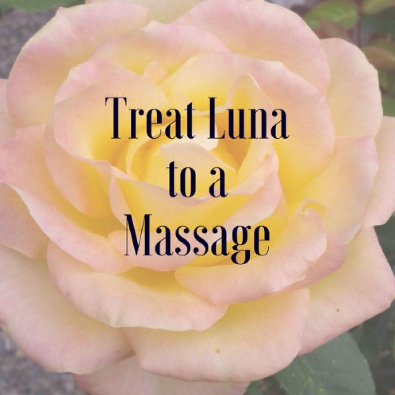 Treat Luna to a Massage