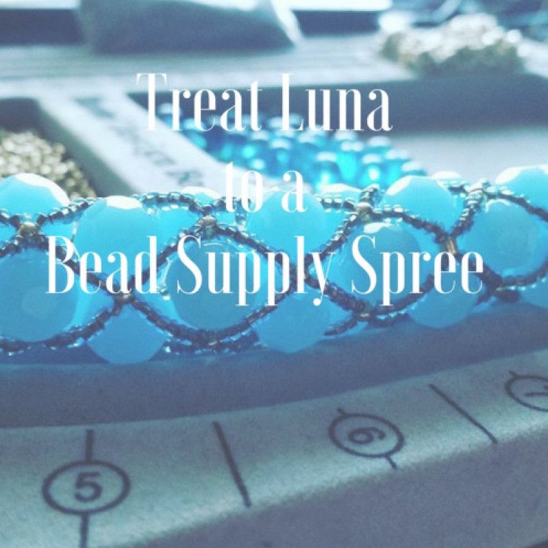 Treat Luna to a Bead Supply Spree