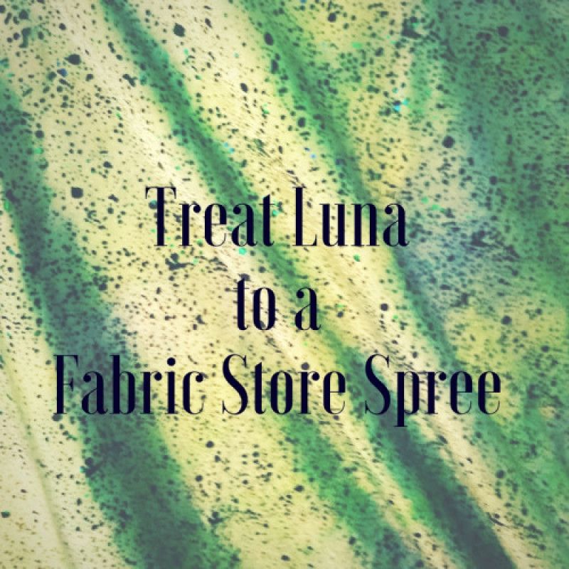 Treat Luna to a Fabric Store Spree