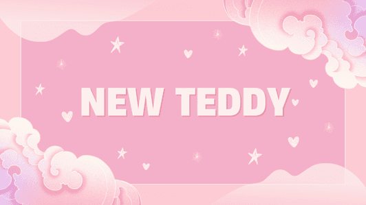 NEW TEDDY