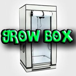 GROW BOX OF A DREAM