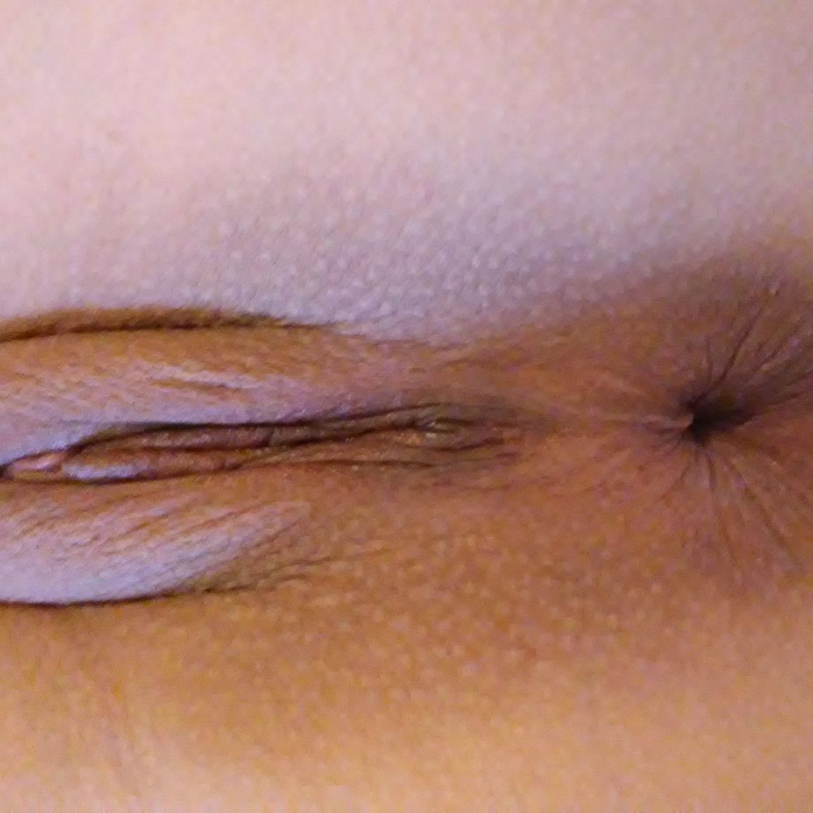 Close up Vag and Butthole