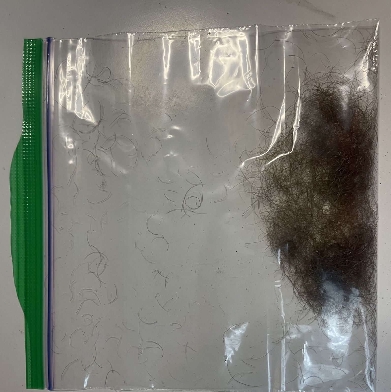 Bag of my Pubes