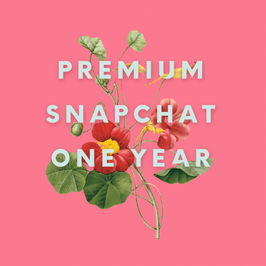 Premium Snapchat: One Year