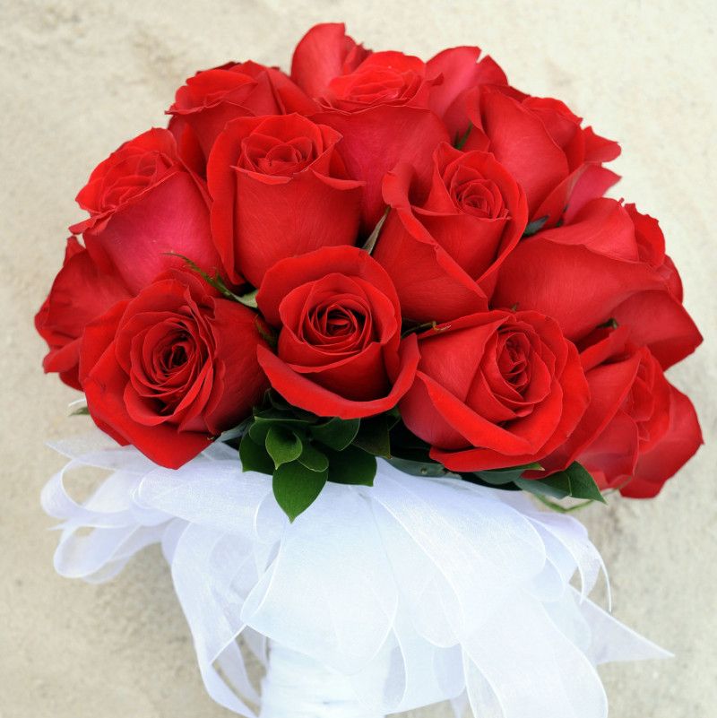 Buy me beautiful Red roses