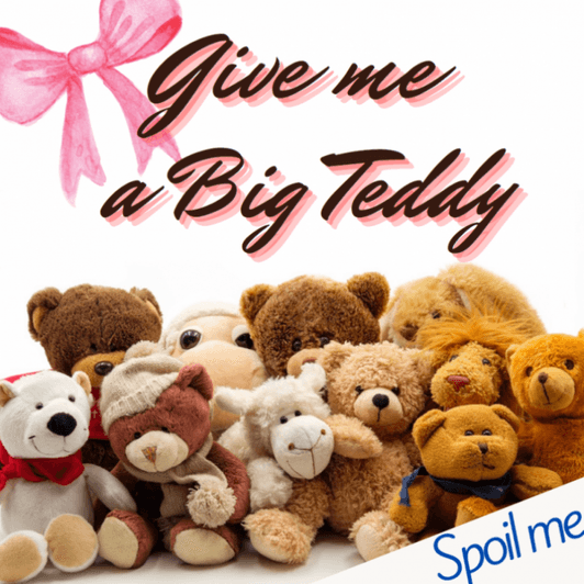Spoil a big Teddy