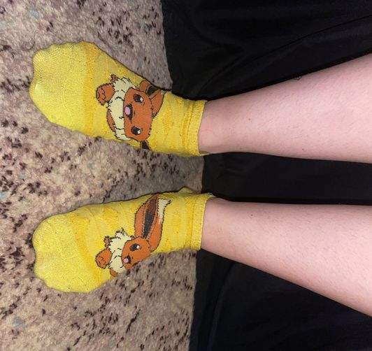 Eevee socks