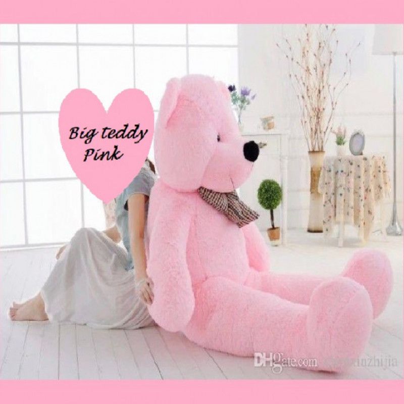 Big teddy Pink♥