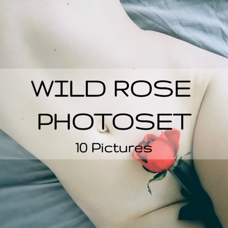 Wild Rose