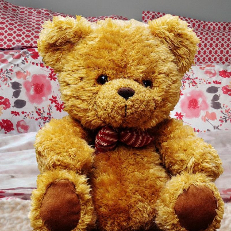 Teddy Bear