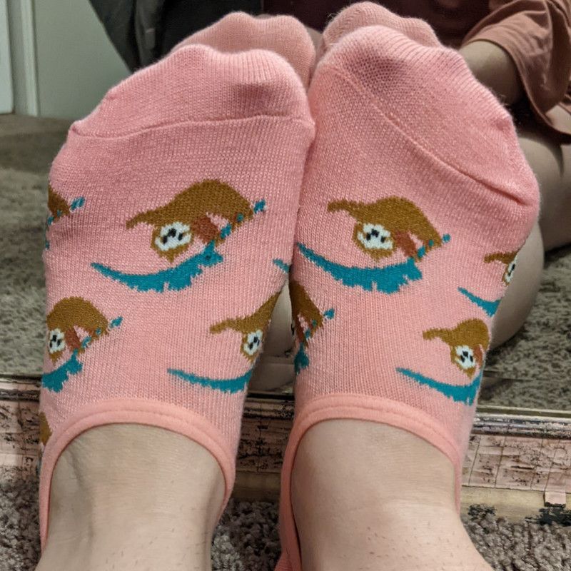 Sloth socks