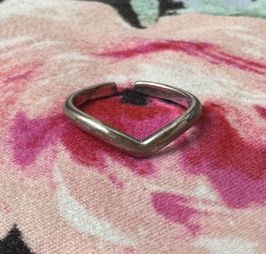 Well Loved V Shaped Toe Ring