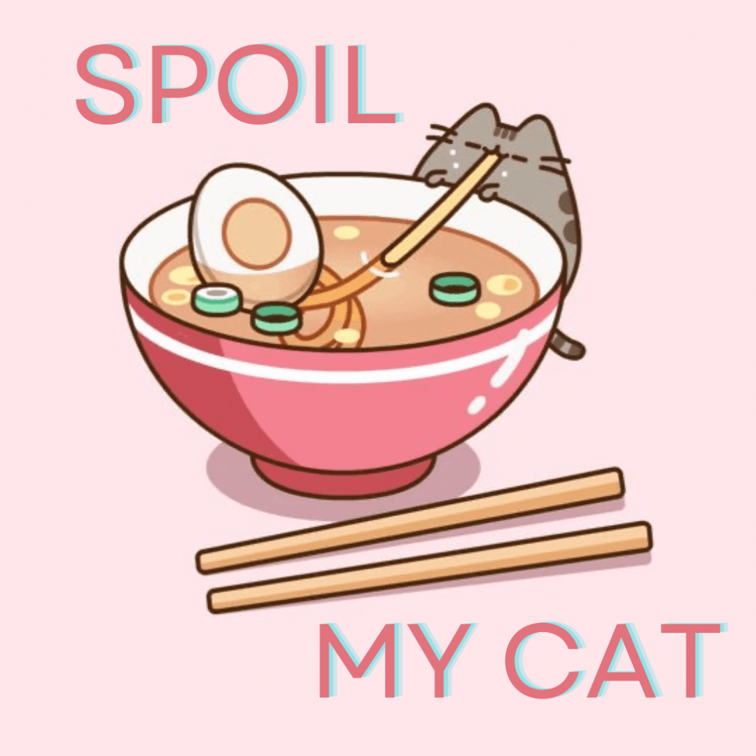 Spoil my cat