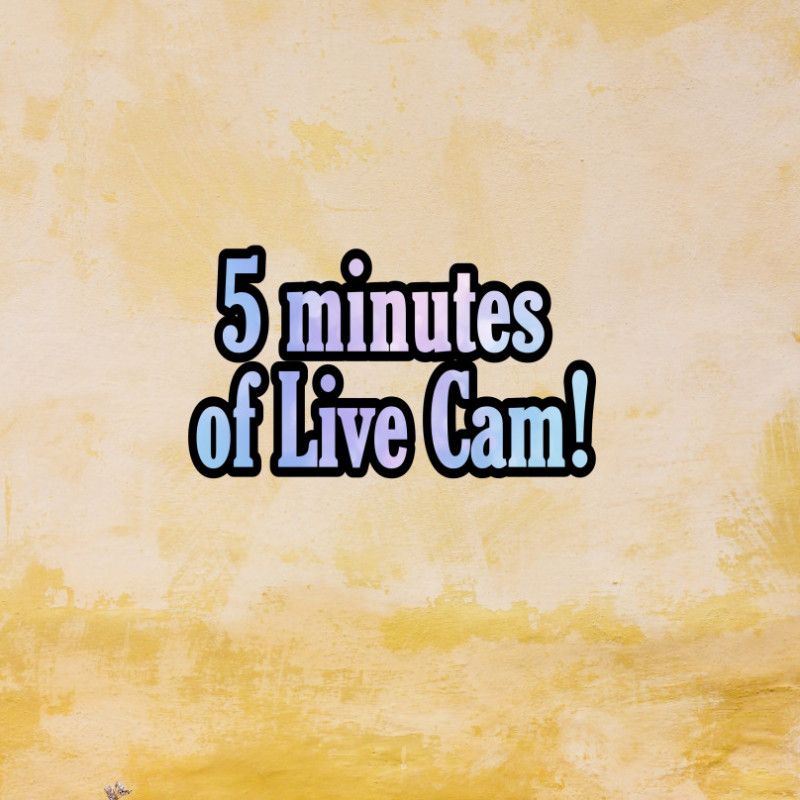 5 minutes of Live Cam!