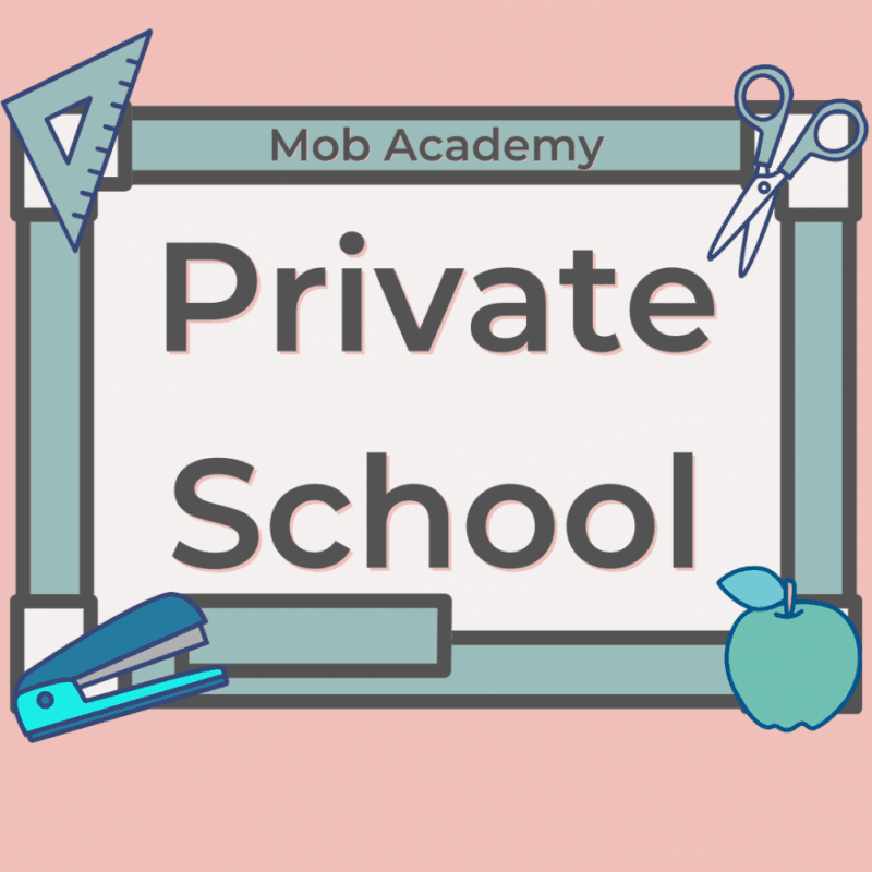 MOB Academy Private School NON VIP