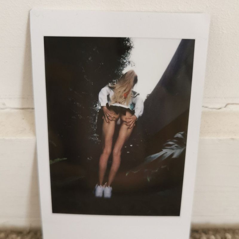 NEW highschool of the dead polaroid