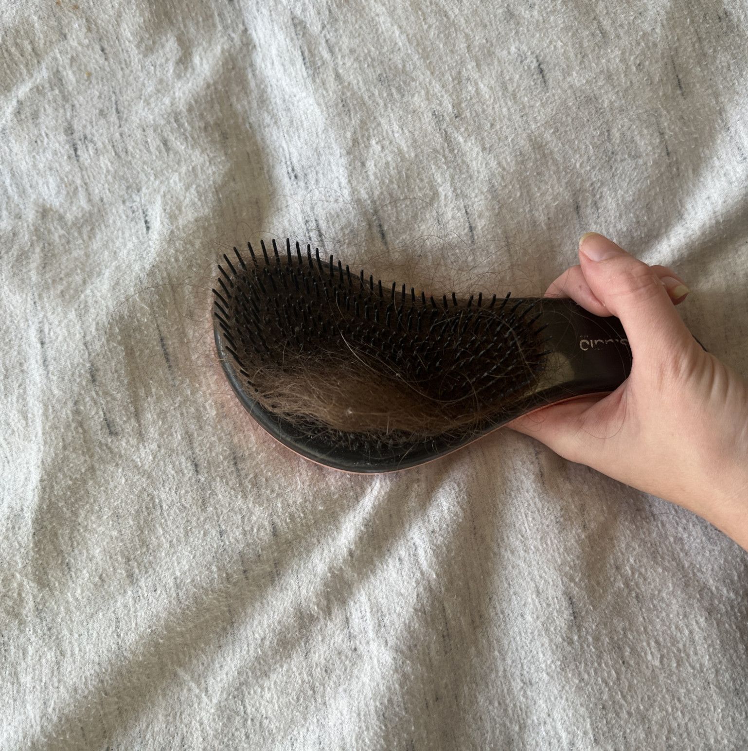 Buy the hair from my hairbrush