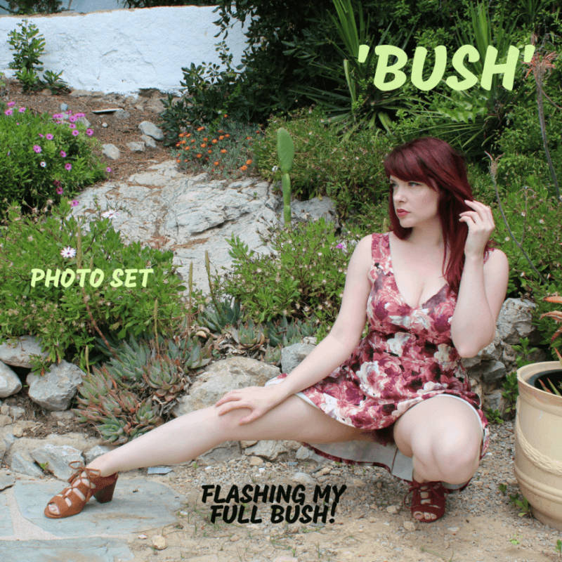 BUSH HD Photo Set