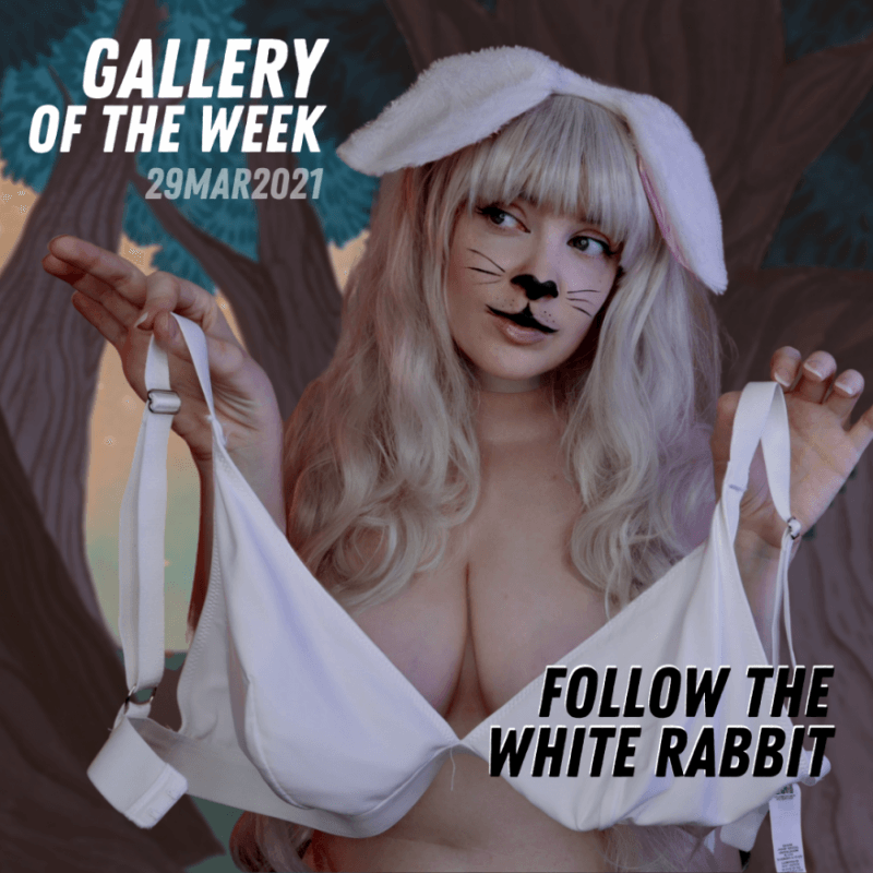 Follow the White Rabbit