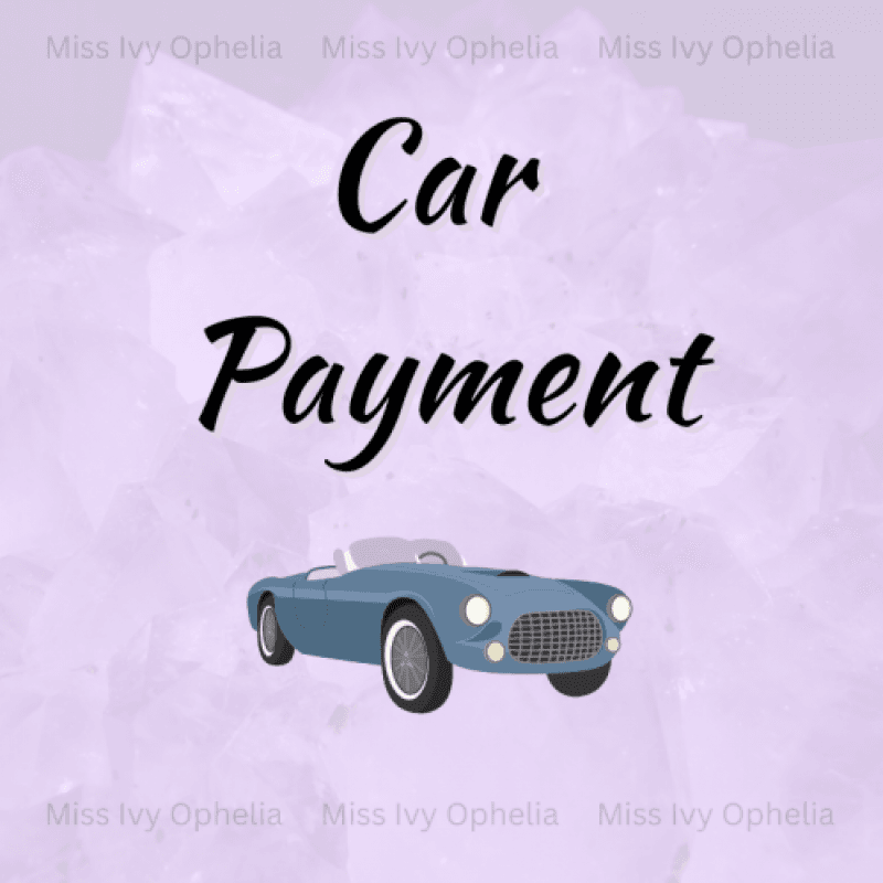 Adopt a Bill: Car Payment