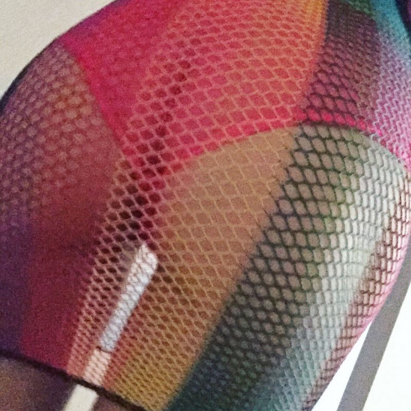 WORN Rainbow Fishnet Mini Dress