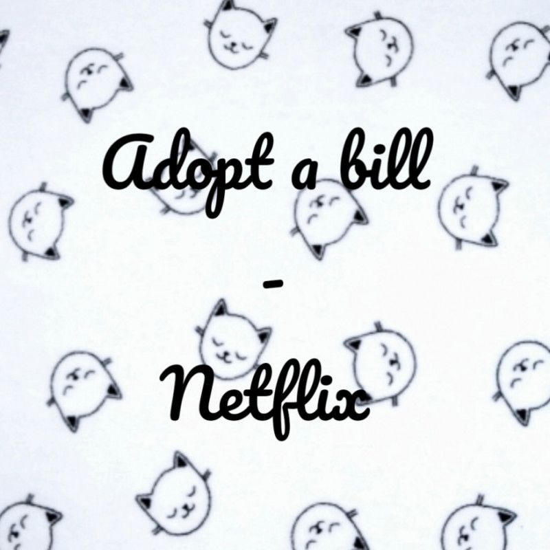 Netflix ADOPT A BILL