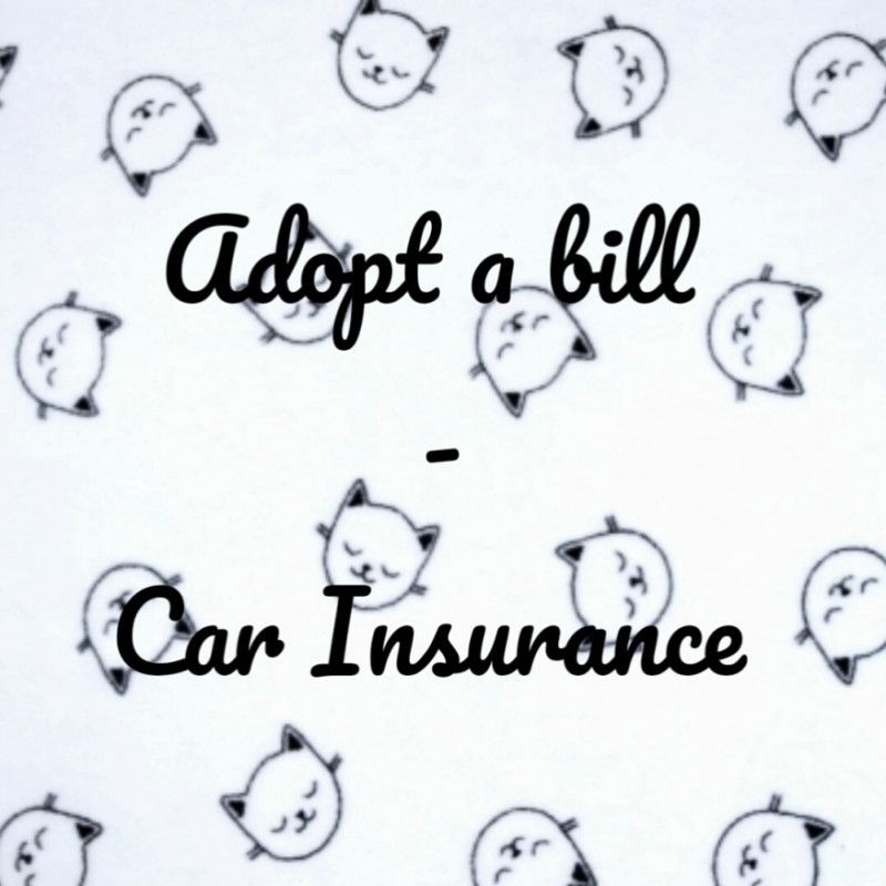 Car Insurance ADOPT A BILL