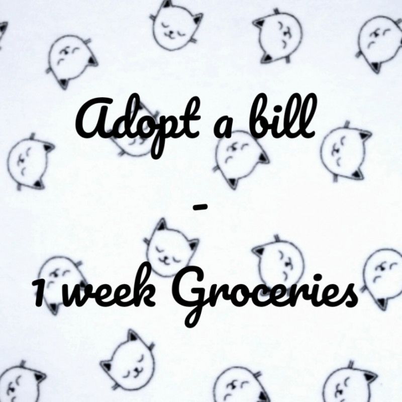 1 week Groceries ADOPT A BILL