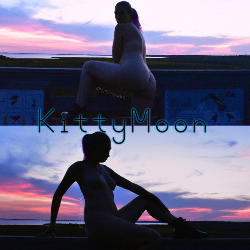 Sunset Silhouette Photo set