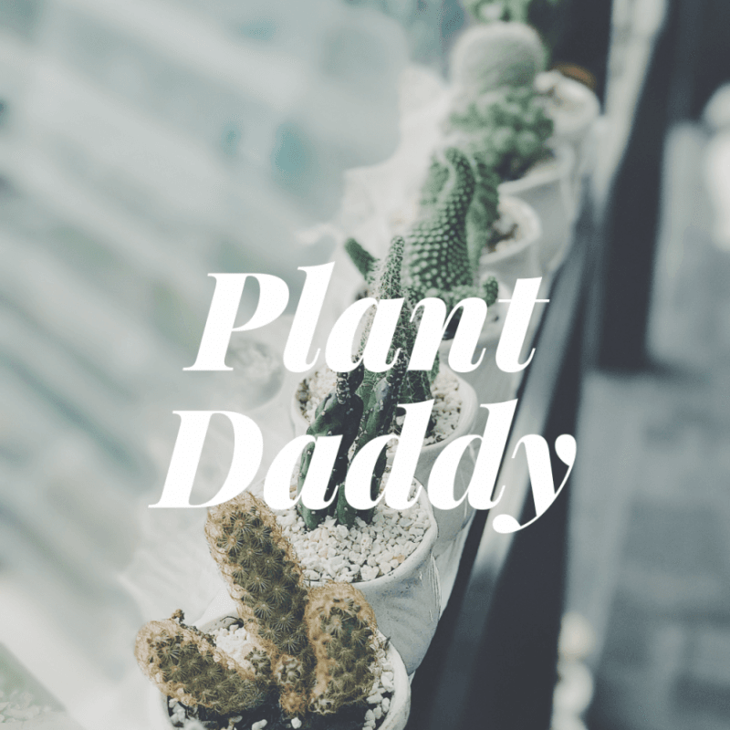 Sponsor a Plant