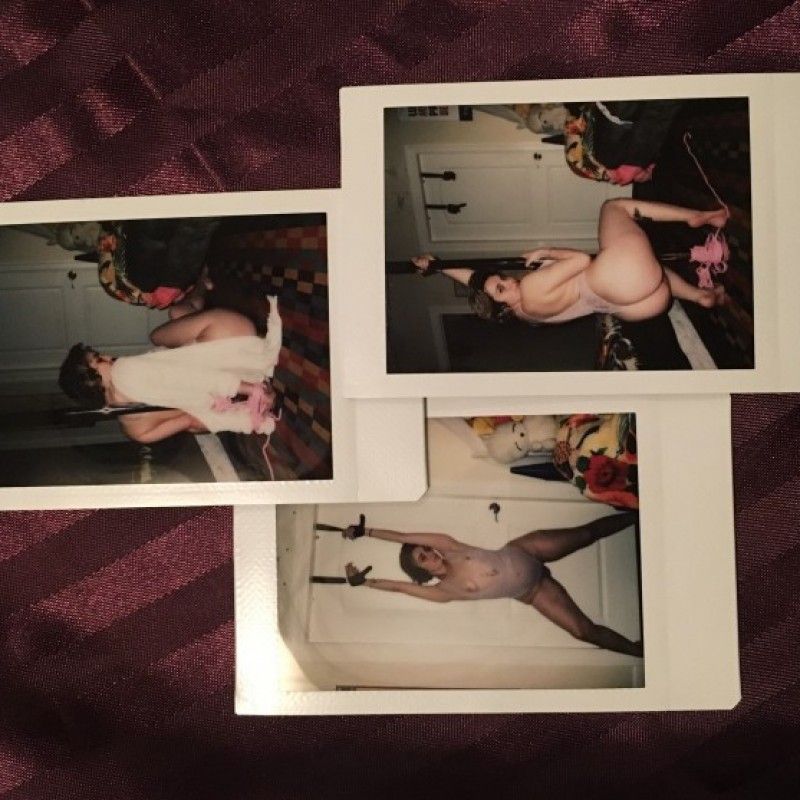 Kittens Custom Polaroids