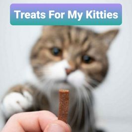 Treats For My Cats