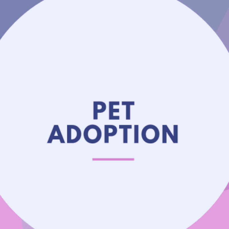 Pet Adoption Application