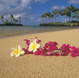 hawaii video package