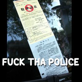 Pay My Parking Tickets