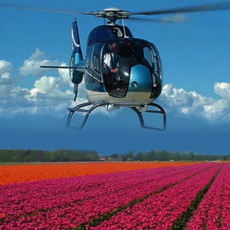 Helicopter Tour Tulips Festival