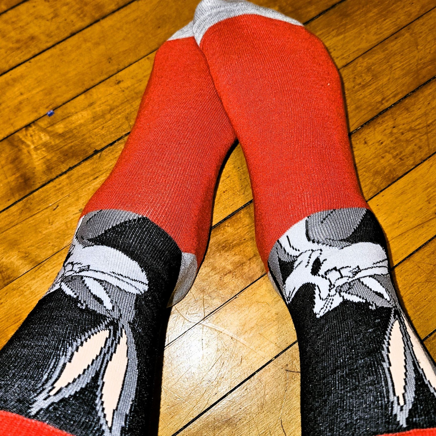 Red and black Bugs Bunny 3 day wear socks