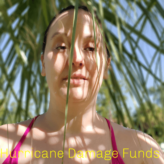 Hurricane Damage Funds