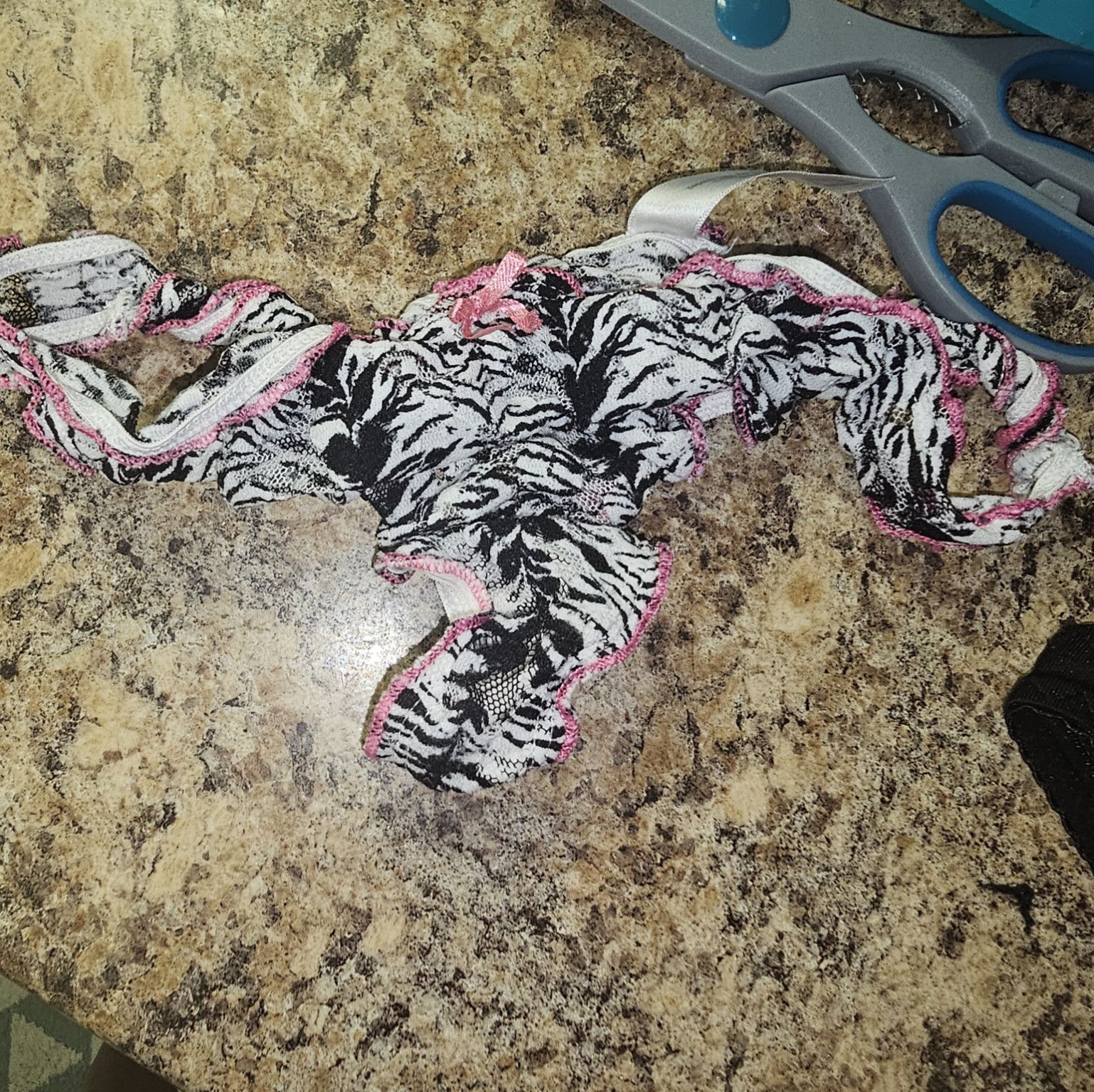 Zebra Lacy pink trim thong