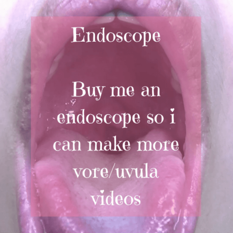 Endoscope