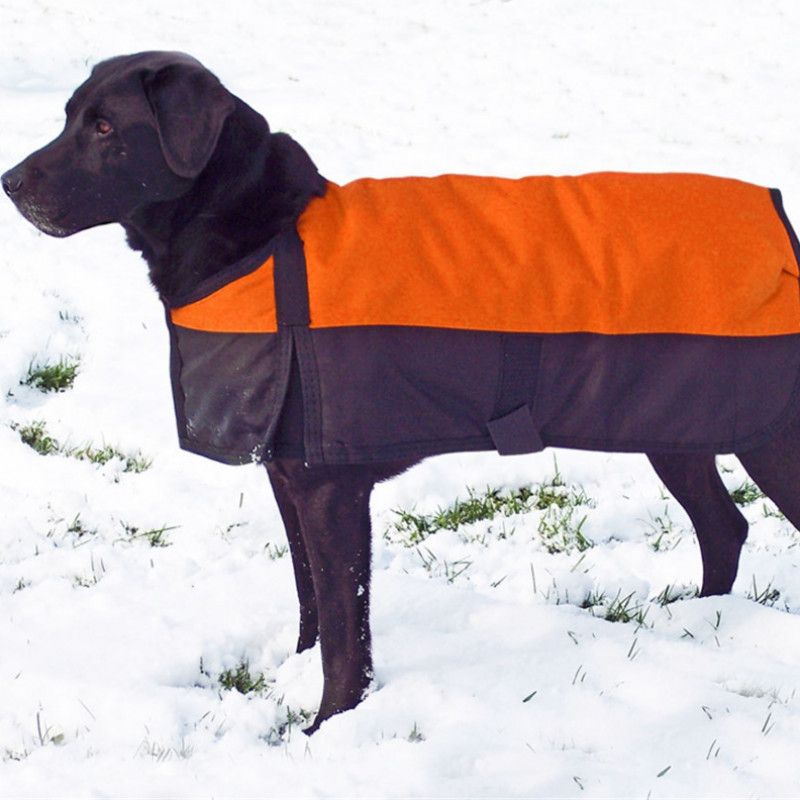 Dog waterproof coat