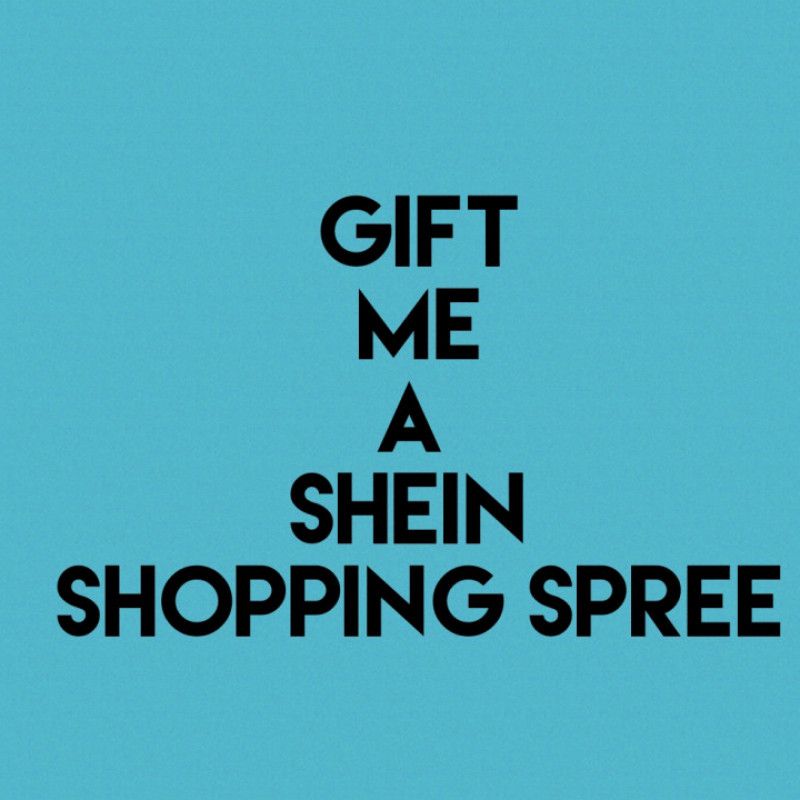 Shein mini shopping spree