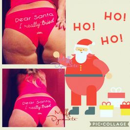 Dear Santa I Really Tried Panties