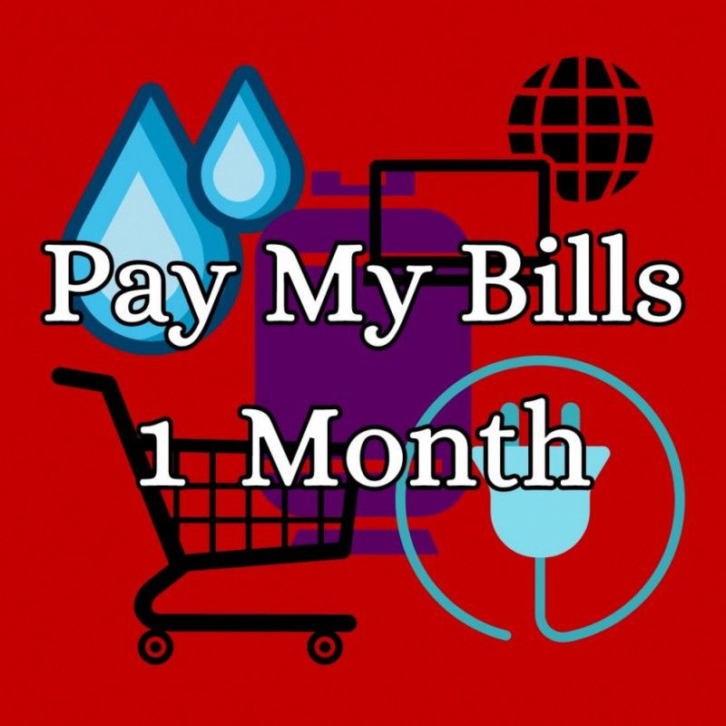 Pay My Bills 1 Month plus groceries