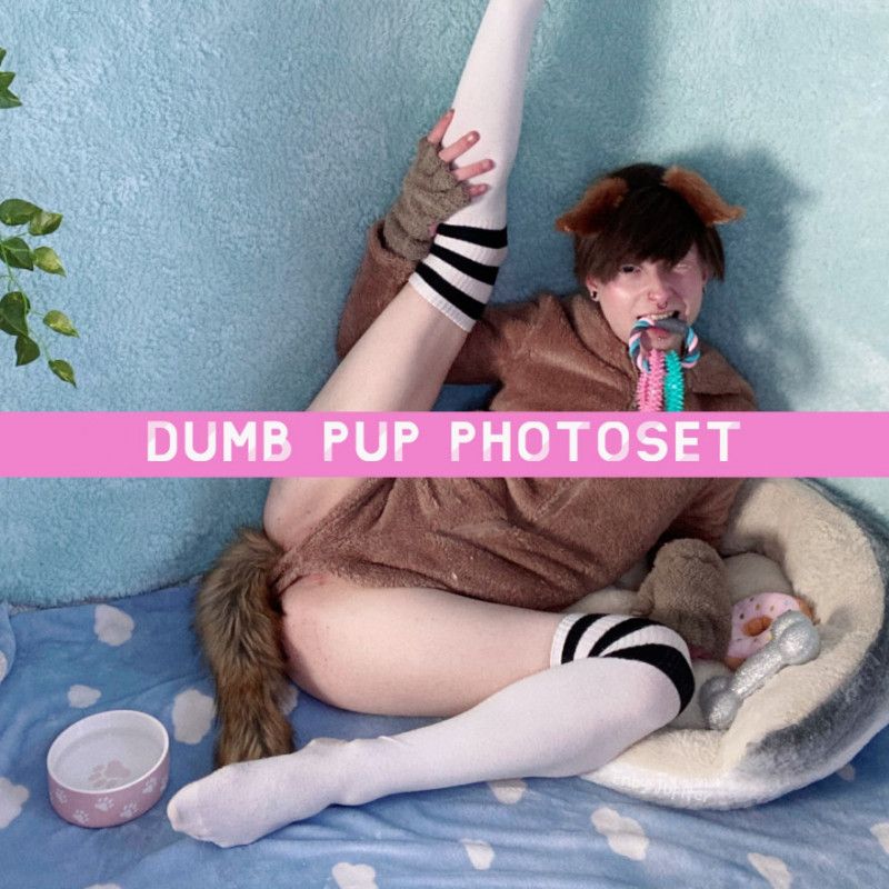 Dumb Pup Photoset