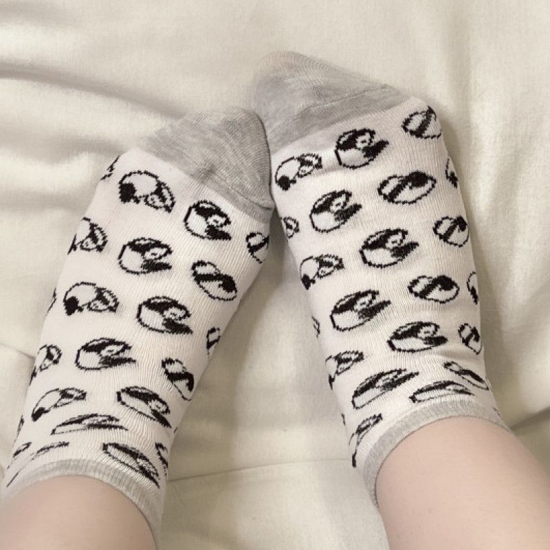 Worn Panda Socks