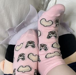 Cute worn puppy socks