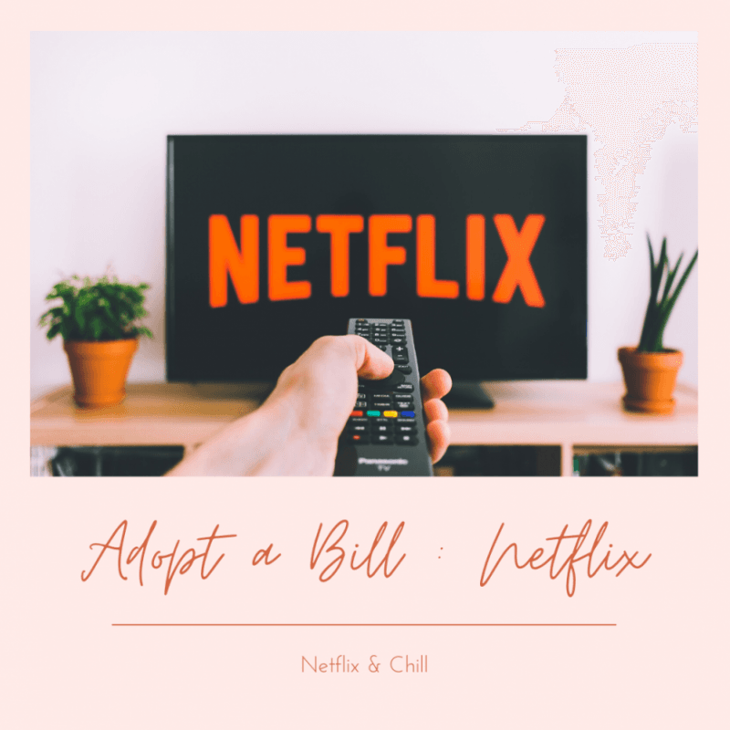 Adopt My Netflix Bill